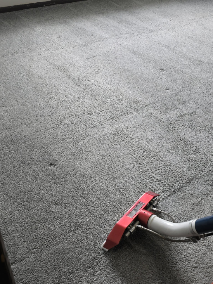 A carpet cleaning tool in action, showing a freshly cleaned grey carpet by Harsh's Cleaning Services LLC in Canton, OH.
