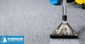 A carpet cleaning tool making a clean path on a carpet by Intermountain Cleaning Service in Yakima, WA