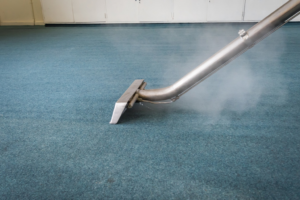 Professional carpet cleaning with steam on a blue carpet by Chinook Services Silver Lake in Everett, WA
