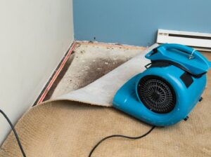 An air mover drying a pulled-back carpet and subfloor after water damage restoration by A1 Restoration of Spokane in Post Falls, ID.
