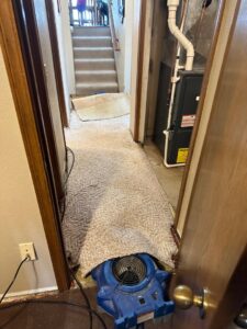 An air mover placed under pulled-back carpet in a hallway for drying by Restoration Alliance Services in Elk River, MN.