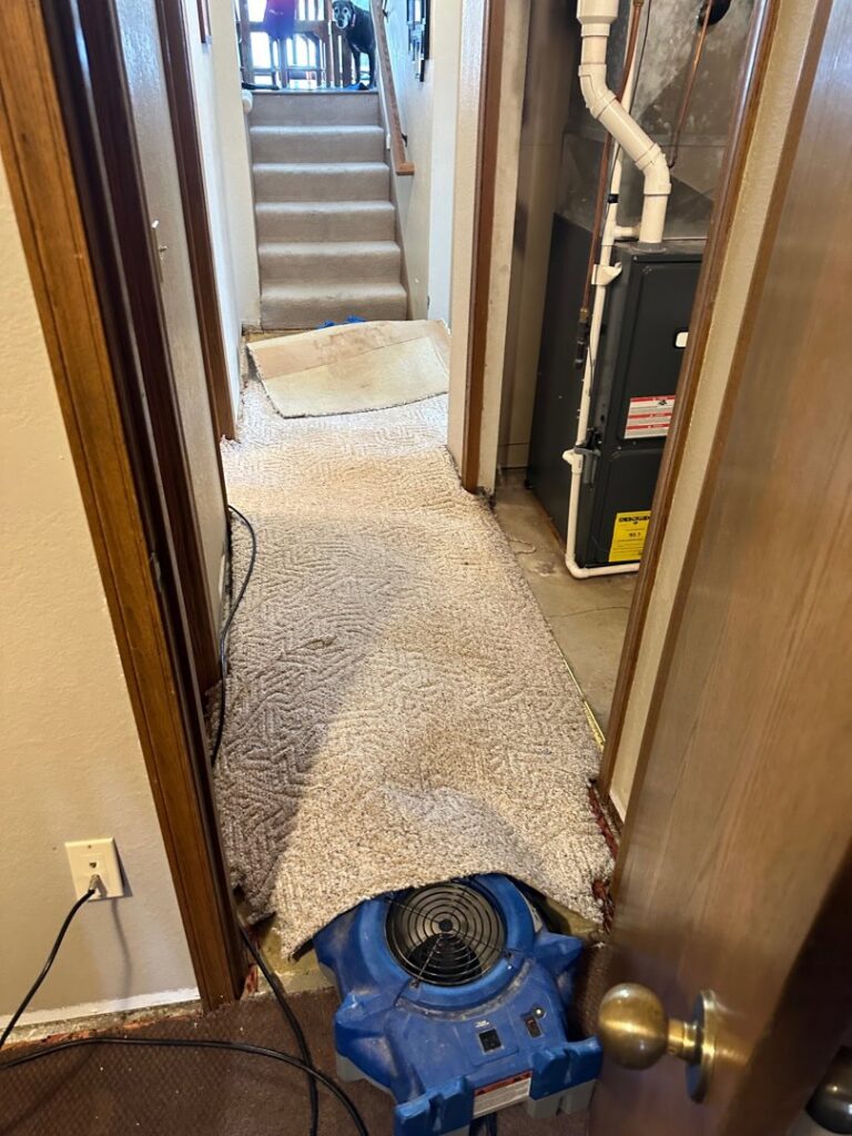 An air mover placed under pulled-back carpet in a hallway for drying by Restoration Alliance Services in Elk River, MN.