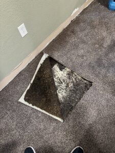 Carpet pulled back to reveal a dark, wet, and potentially moldy subfloor, indicating water damage needing restoration by KY Water Damage Restoration in Georgetown, KY.
