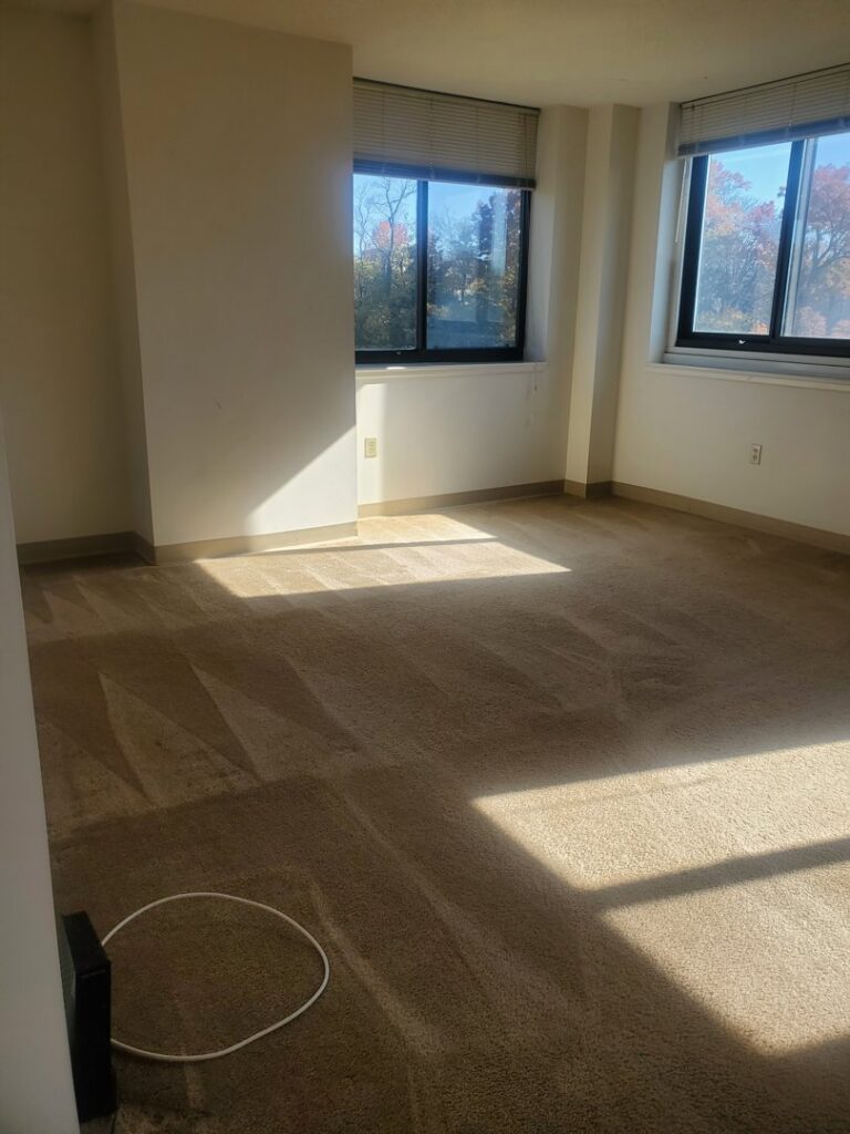 A carpeted room showing fresh vacuum lines, indicating professional cleaning by Maids of Hartford in Hartford, CT.