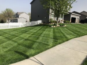A residential front lawn mowed with a distinctive checkerboard pattern by Heath's Lawn Care in Omaha, NE.