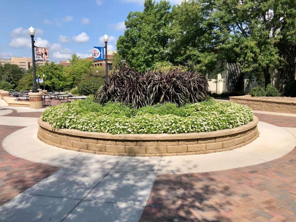 A large circular planter with diverse, well-maintained plants, showcasing garden maintenance by Mitera Landscaping in Papillion, NE.