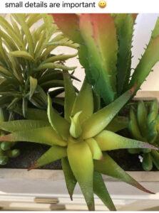 A sparkling clean artificial plant after detailed cleaning by ICA Cleaning in Vancouver, WA, showing attention to small details.