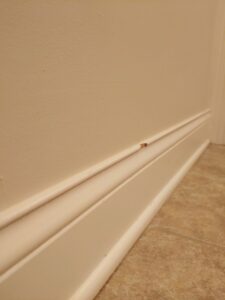 A perfectly clean white baseboard and tiled floor after professional cleaning by Chelle's Cleaning Services in Gary, IN.
