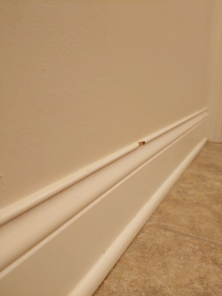 A perfectly clean white baseboard and tiled floor after professional cleaning by Chelle's Cleaning Services in Gary, IN.