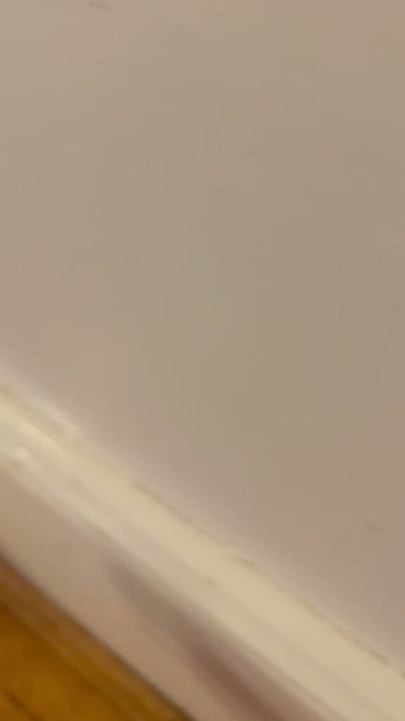 A close-up view of freshly cleaned baseboards along a wooden floor, demonstrating the meticulous work of Royal Madam Cleaning LLC in Charlotte, NC.