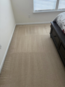 A clean bedroom carpet showing fresh vacuum lines from Five Star Cleaning Service in Pasadena, MD.