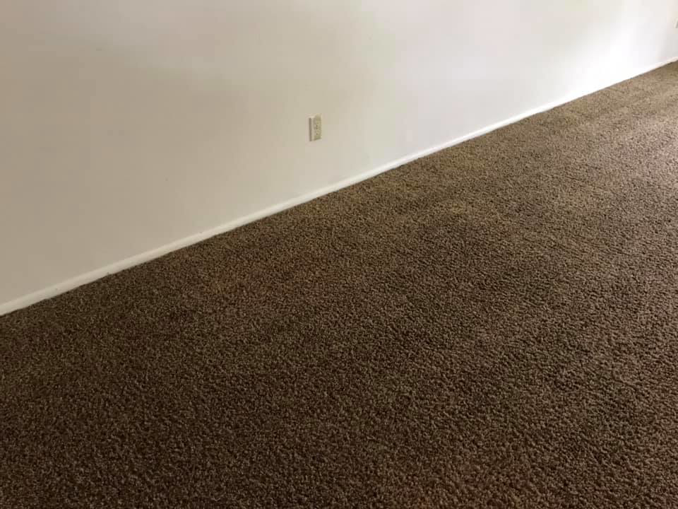 A freshly cleaned brown carpet after professional service from Sharp & Clean in Idaho Falls, ID.