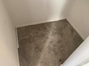 A clean carpeted closet floor with vacuum lines after professional cleaning by KPG cleaning care in Fort Lauderdale, FL