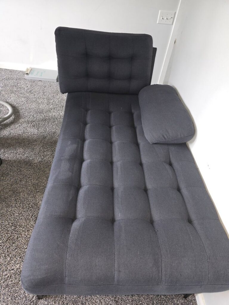 A visible clean line on the carpet next to a chaise lounge, showcasing carpet cleaning by Harsh's Cleaning Services LLC in Canton, OH.