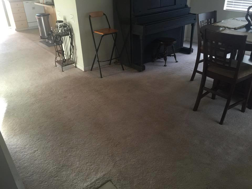 A freshly cleaned carpet in a living room after professional house cleaning by Rife's Services in Mechanicsburg, OH