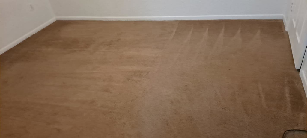 A clean carpet with fresh vacuum lines, showcasing the detailed work of Solid Rock Cleaning Company LLC in Orlando, FL