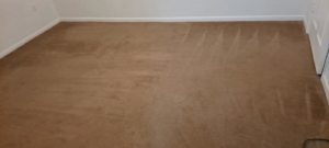 A clean carpet with fresh vacuum lines, showcasing the detailed work of Solid Rock Cleaning Company LLC in Orlando, FL