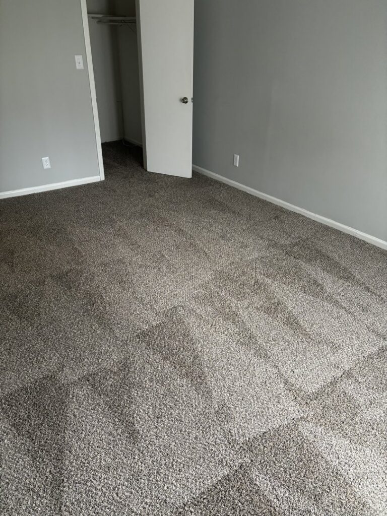 A freshly cleaned carpeted bedroom with light grey walls, ready for occupancy by Bee Clean Solutions in Lexington, KY.