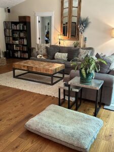 A clean and organized living room with a comfortable sofa and dog bed, tidied by Top-Notch Tidy Services in Chesapeake, VA.