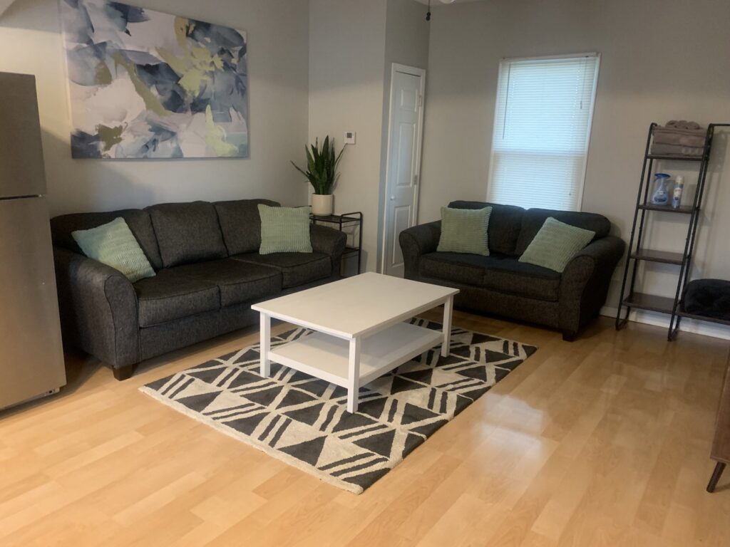 A clean living room with two dark sofas, a white coffee table, and a patterned rug, showcasing the tidy space by Faye Cleaning Service LLC in Ankeny, IA.