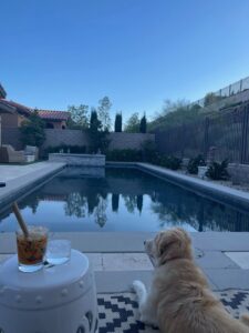 A sparkling clean swimming pool with a pool vacuum hose, showing active cleaning by Priority Pools LV in Las Vegas, NV