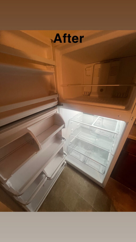 A clean and organized refrigerator interior after service from The Blake Experience Cleaning Service in Albany, NY.