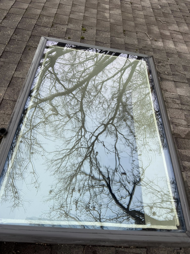 A sparkling clean skylight on a roof, reflecting trees and sky, after professional washing by Exterior Wash Pro LLC in Springdale, AR.