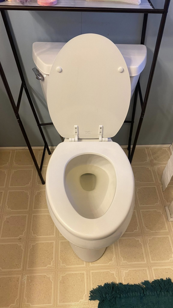 A freshly cleaned toilet in a residential bathroom by Estela's Cleaning Service's in Lake Elmo, MN.