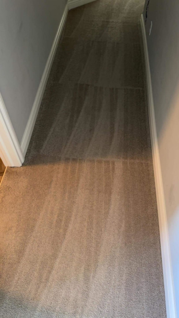 A clean, vacuumed carpet in a hallway with distinct lines, by Yeilys Cleaning Services LLC in Omaha, NE.