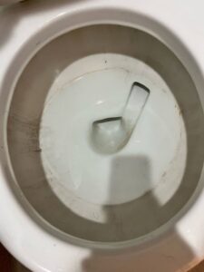 A spotless white Whirlpool stove top after professional cleaning by Sage & Soap Cleaning Co in Kansas City, MO.