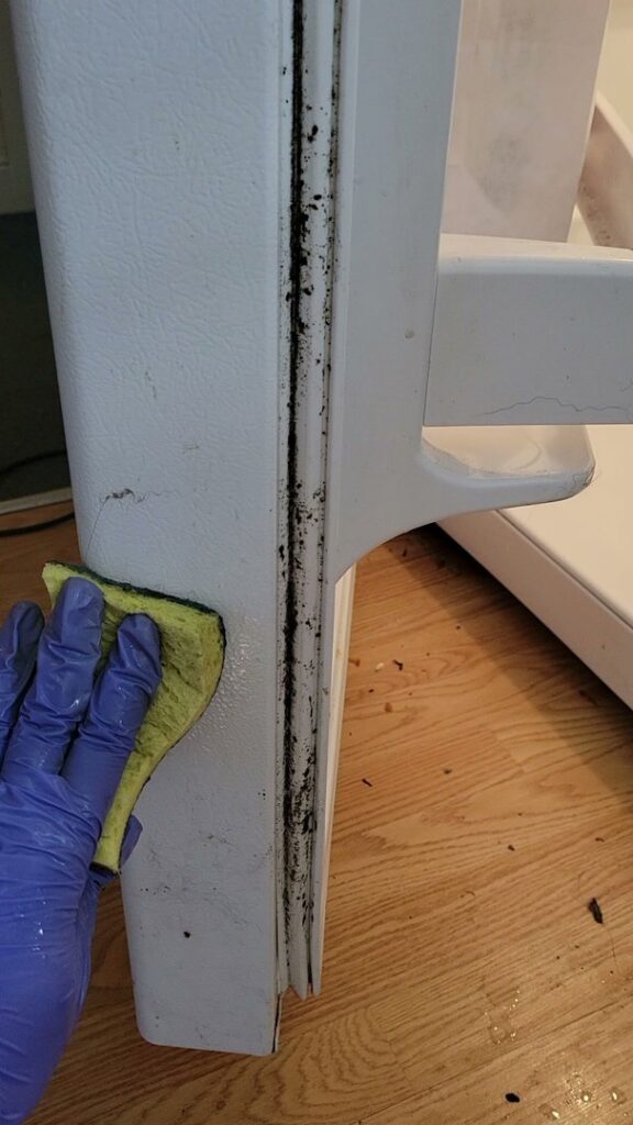 A gloved hand scrubbing a dirty refrigerator seal with a sponge, demonstrating deep cleaning by Solange D Kleaner in New Bedford, MA.