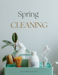 A caddy filled with various cleaning supplies for a thorough house cleaning service by Total Refresh Housekeeping in Springfield, OR