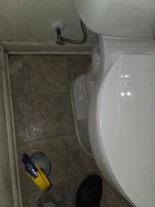 Cleaning supplies, including a spray bottle, placed next to a toilet, ready for bathroom cleaning by Heavenly Harlots Maid Cleaning Services in Grand Forks, ND.