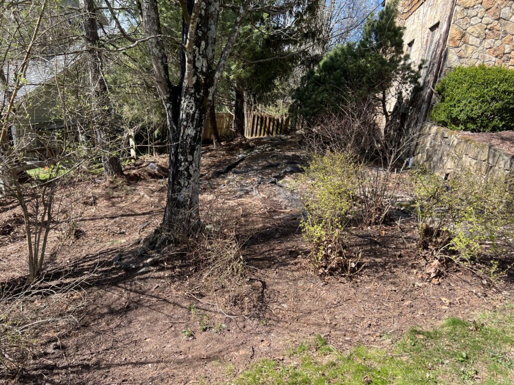 A cleared yard area with trimmed bushes and trees, demonstrating comprehensive yard maintenance by Ripley's Lawn Care, LLC in Charleston, WV.