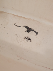 A close-up view of dirt and hair collected in a bathtub, indicating a need for cleaning by The Cleaning Fairy in Fort Lauderdale, FL.