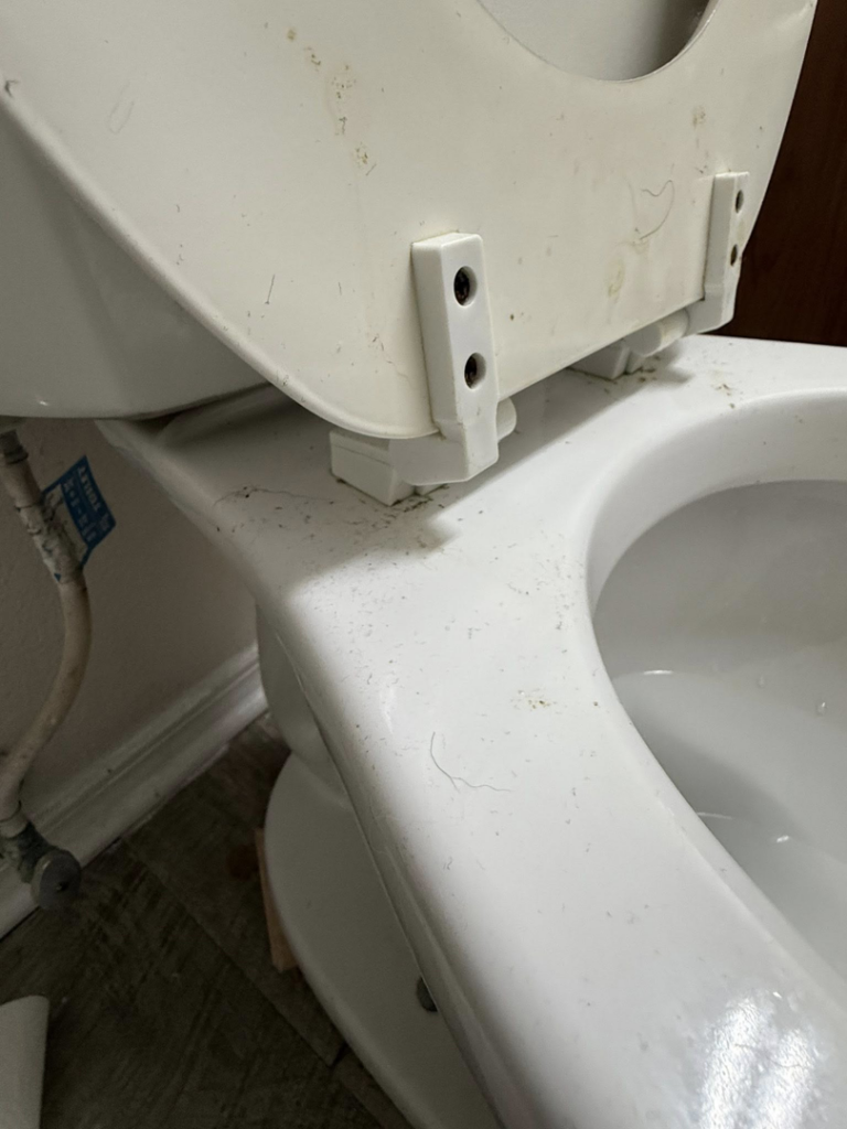 A close-up of a dirty toilet seat and hinges with hair, before deep cleaning by WWJM Cleaning Service in Oklahoma City, OK.
