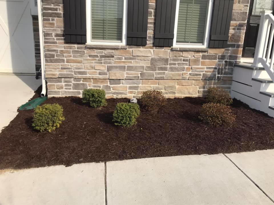 A close-up view of neatly mulched shrub beds along a house foundation by Mike's Lawn Care Service in Dover, DE.