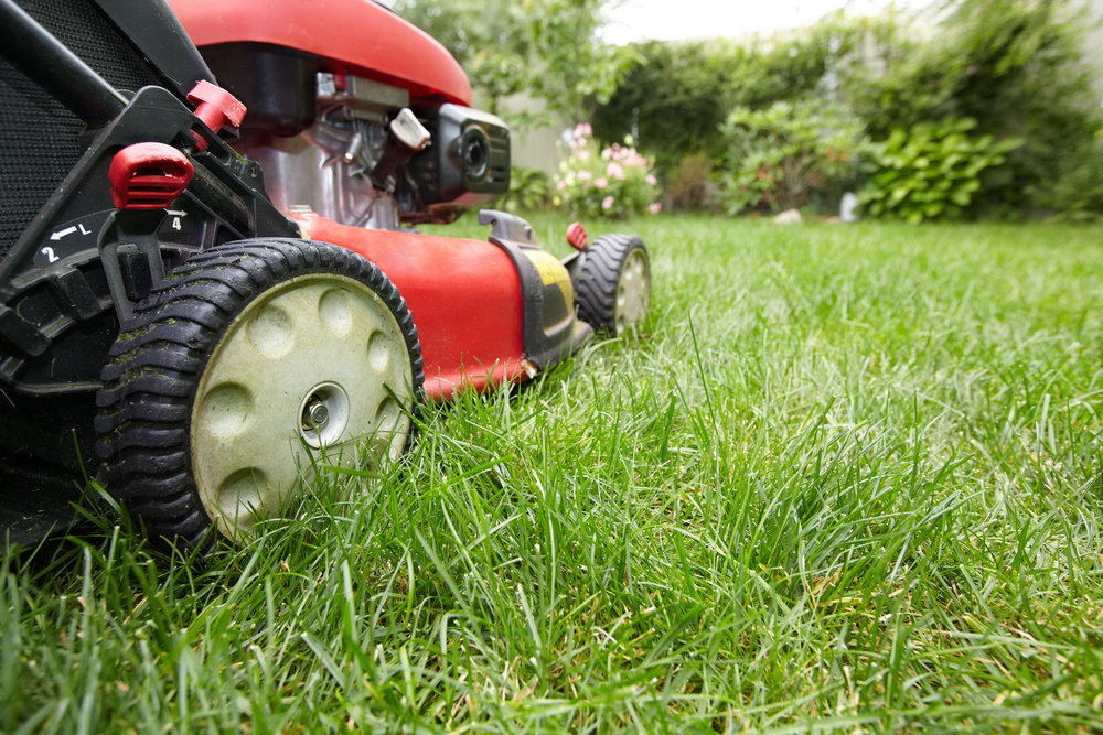 A close-up view of a red lawnmower on vibrant green grass, representing mowing services by LTN Yard Services LLC in Kaneohe, HI.