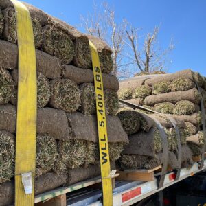 A close-up of sod rolls secured on a truck with a WLL 5,400 LBS strap by Aspen Sod in Layton, UT.