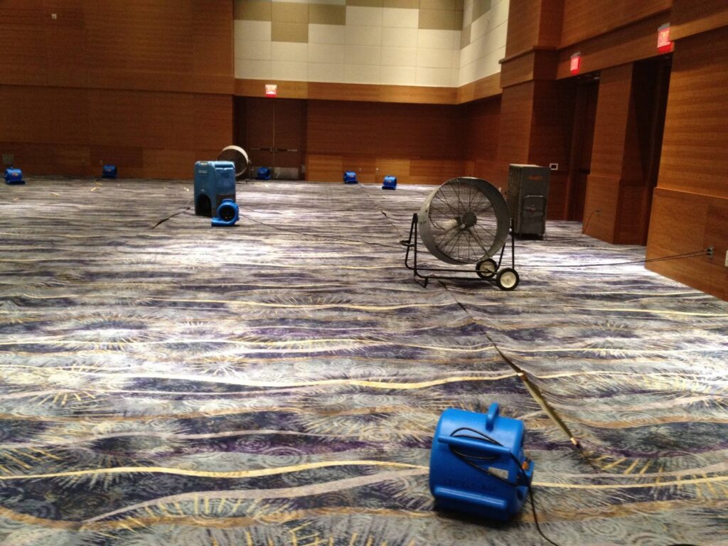 A large commercial space with numerous blue air movers drying a patterned carpet after water damage, provided by Absolute Water Mitigation & Restoration in Greeley, CO