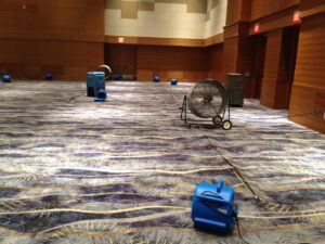 A large commercial space with numerous blue air movers drying a patterned carpet after water damage, provided by Absolute Water Mitigation & Restoration in Greeley, CO