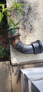 A severely corroded and leaking cast iron pipe with a plant growing from it, indicating water damage, by Hicks Plumbing Company in Tuscaloosa, AL.