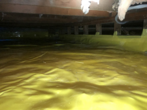 Yellow vapor barrier installed in a crawl space for moisture control by Bordi Restoration in San Leandro, CA