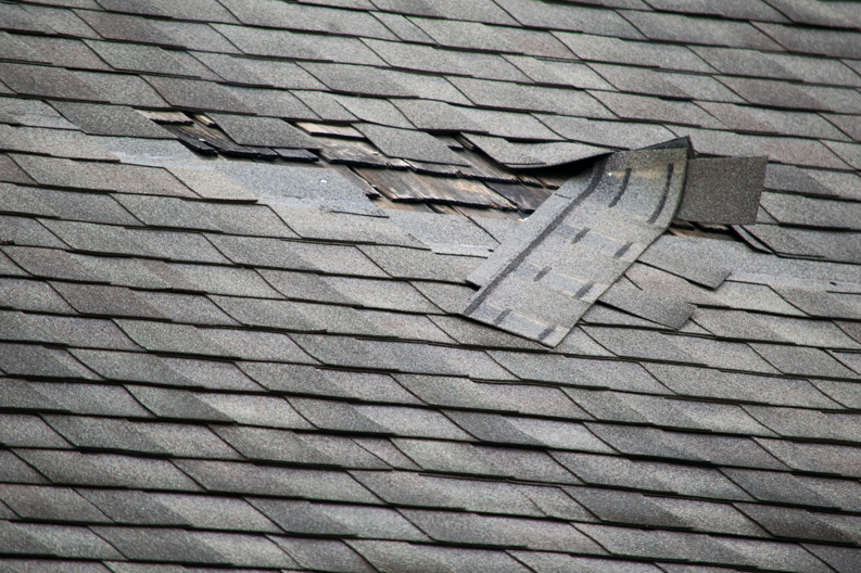 A close-up of a severely damaged asphalt shingle roof requiring repair from Papillion Windows & Siding - NE in Papillion, NE.