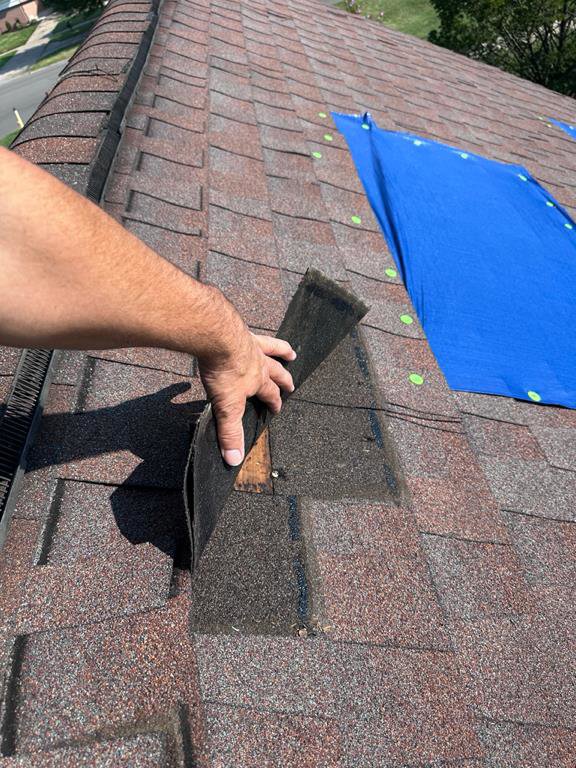 A damaged roof shingle being inspected for repair by Incore Restoration Group in Wixom, MI, preventing potential water damage.