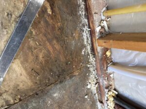 A close-up view of a damaged subfloor, likely from a water leak, being assessed by APEX Restoration in Mililani, HI