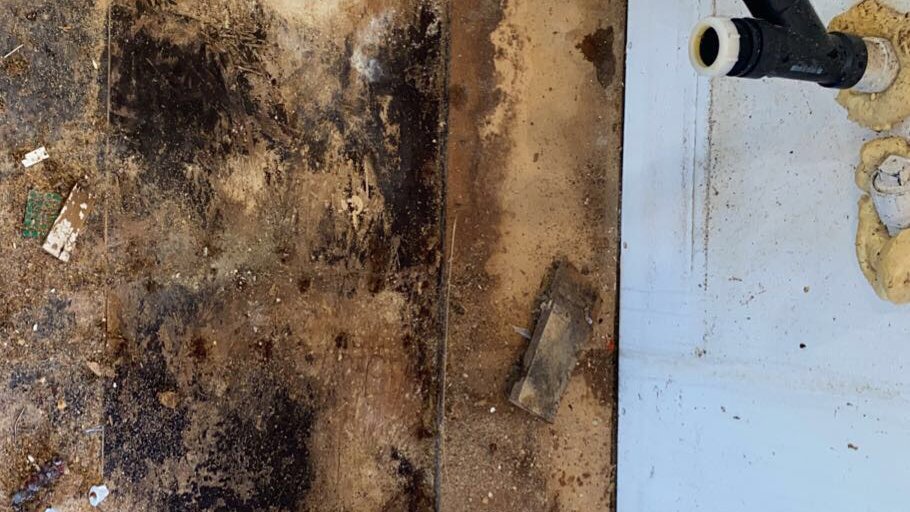 Damaged wooden subfloor with dark water stains and debris, showing signs of moisture intrusion, remediated by Quality Remediation llc in Everett, WA.