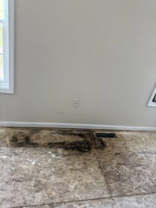 Dark staining and potential mold on a subfloor, a clear sign of water damage requiring remediation by KY Water Damage Restoration in Georgetown, KY.