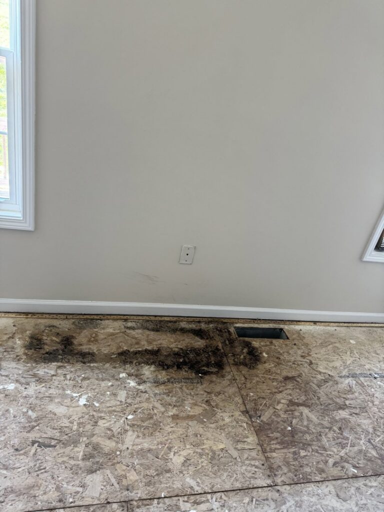 Dark staining and potential mold on a subfloor, a clear sign of water damage requiring remediation by KY Water Damage Restoration in Georgetown, KY.