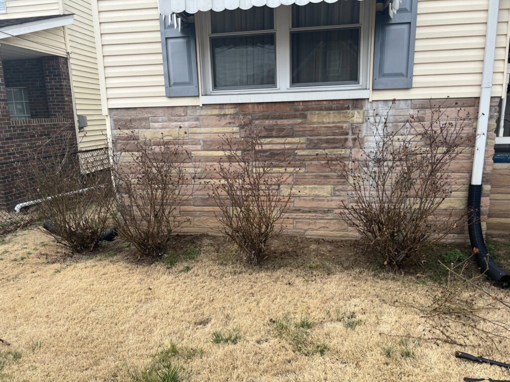 Dead bushes and dry grass in front of a house, indicating a need for yard cleanup services from Ripley's Lawn Care, LLC in Charleston, WV.